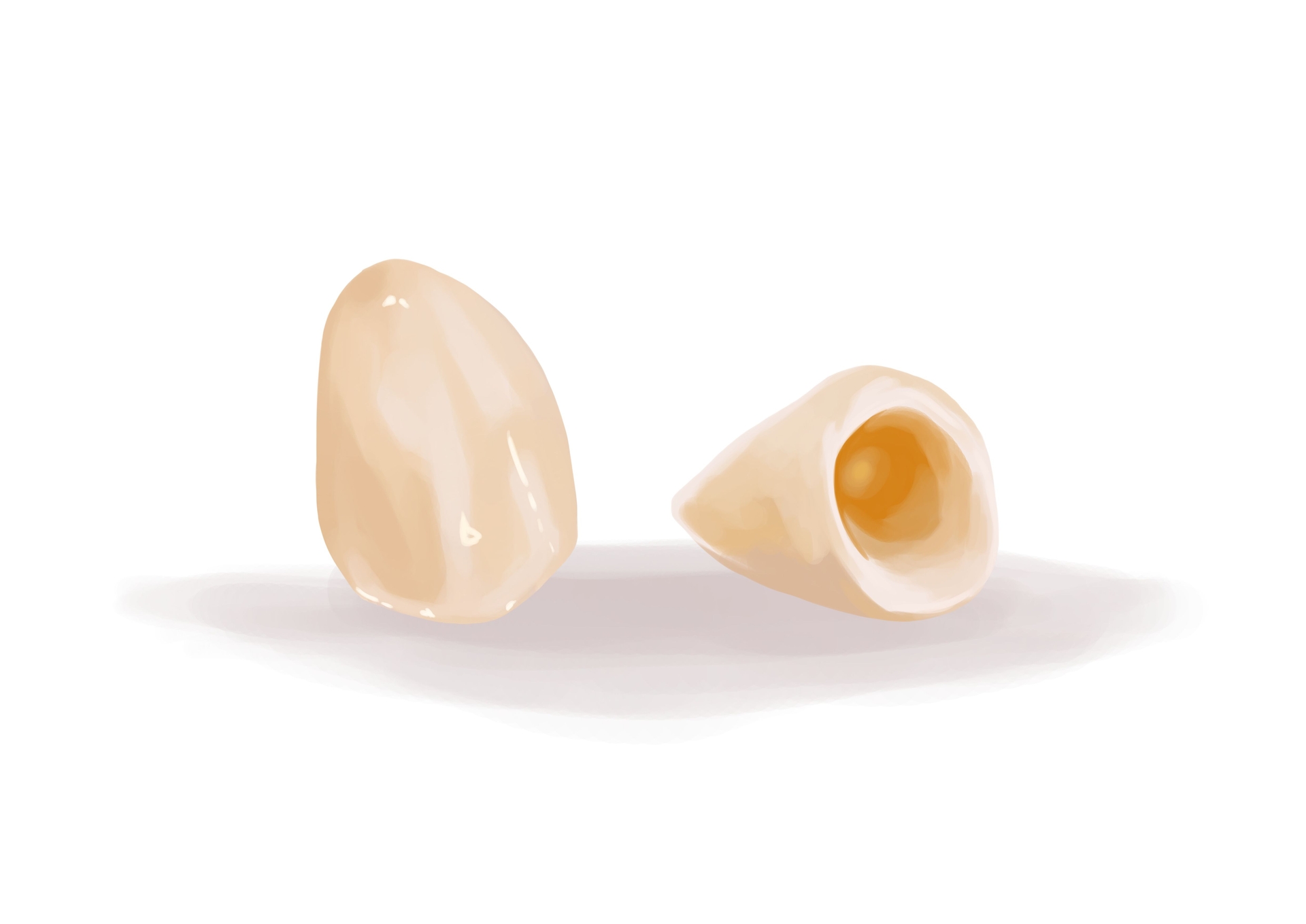 How much does a dental crown cost in 2024? Authority Dental