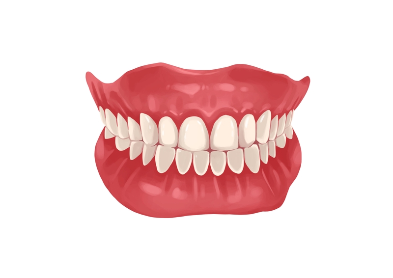 Upper and lower arch of teeth